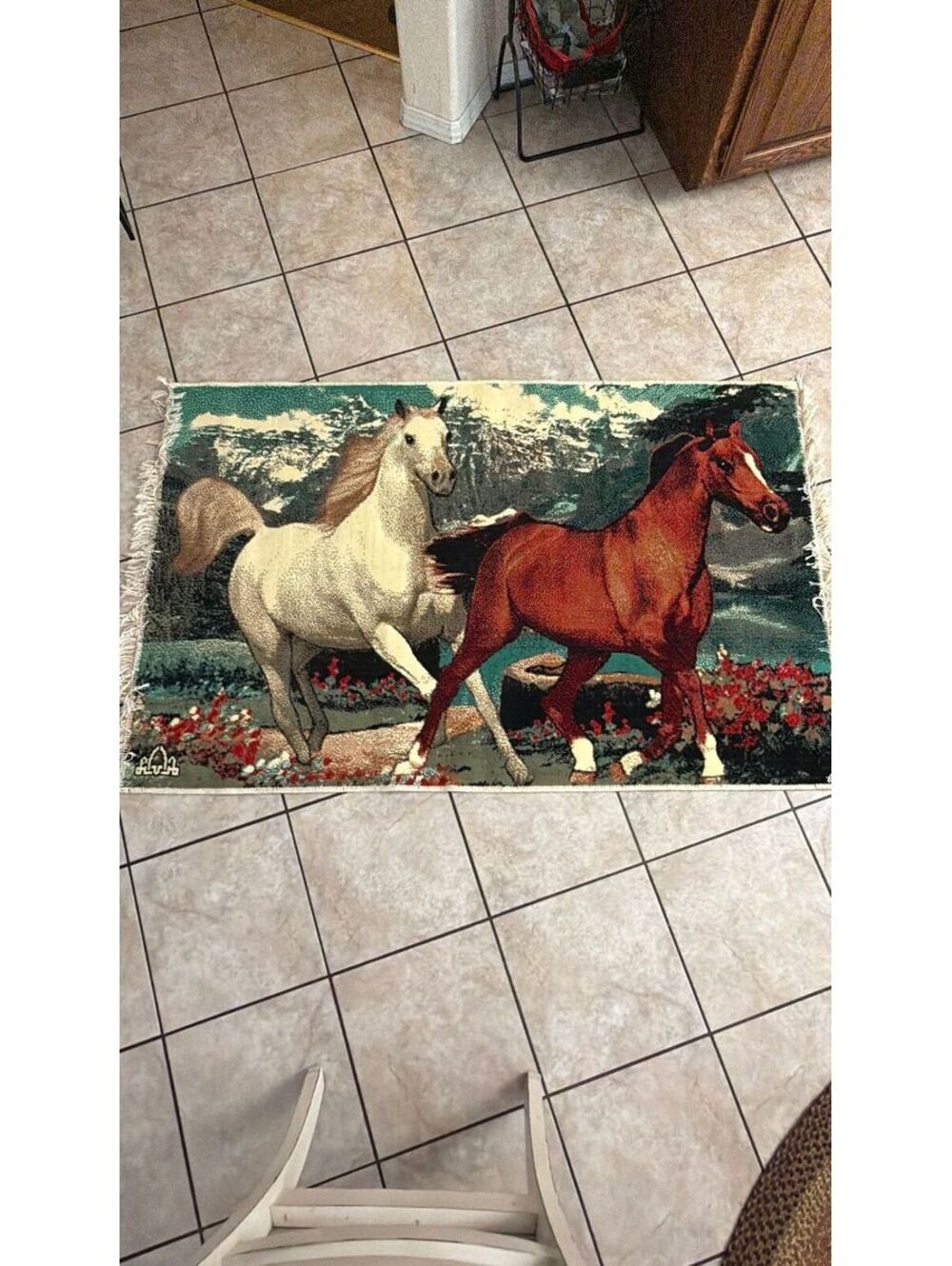 VTG Horse Rug